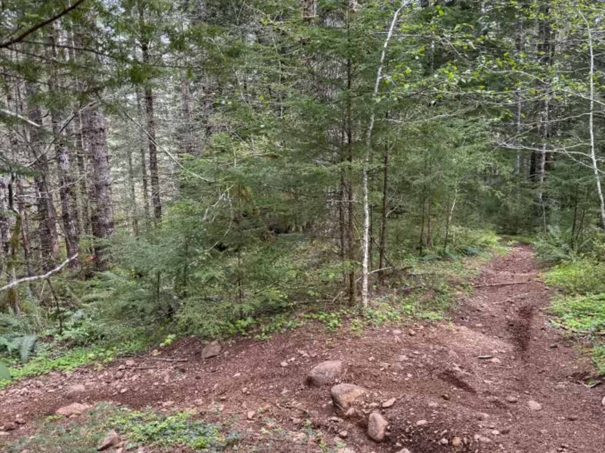 Ginger Creek Access Loop trail photo