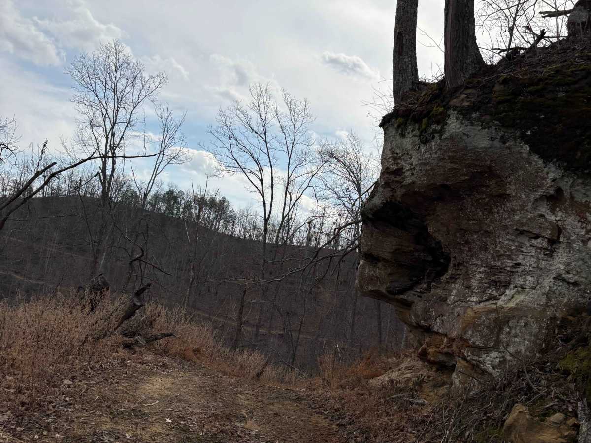 Trail 11 photo 2