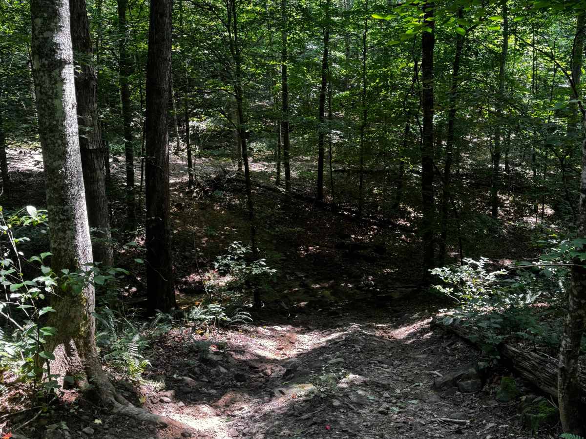 Trail 12A photo 5