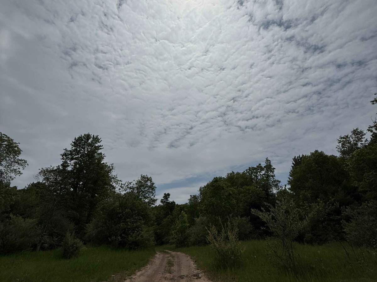 Vinton Trail South photo 3