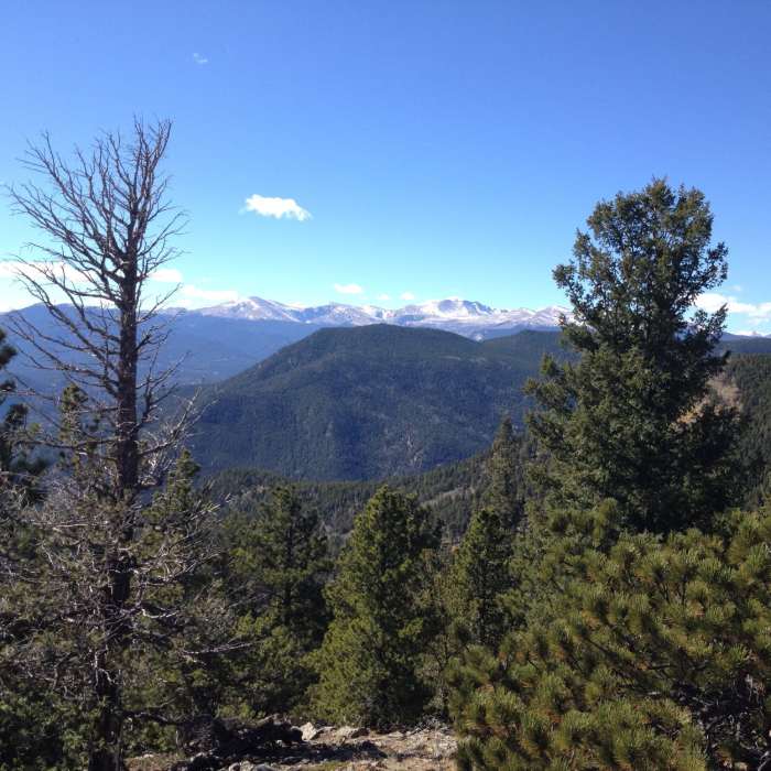Near Bergen Peak Trail