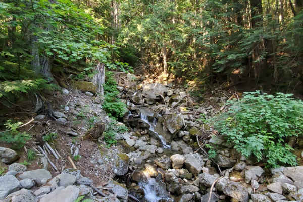 Mason Lake/Talapus Lake Trailhead