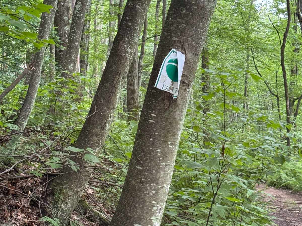 Trail 28 photo 2