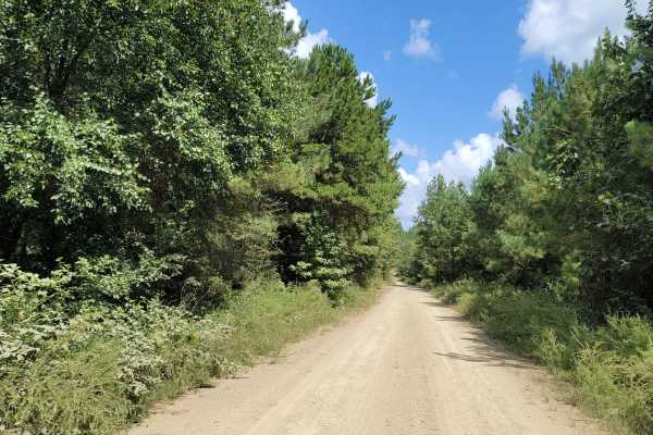 Cut Across to Gillham Road