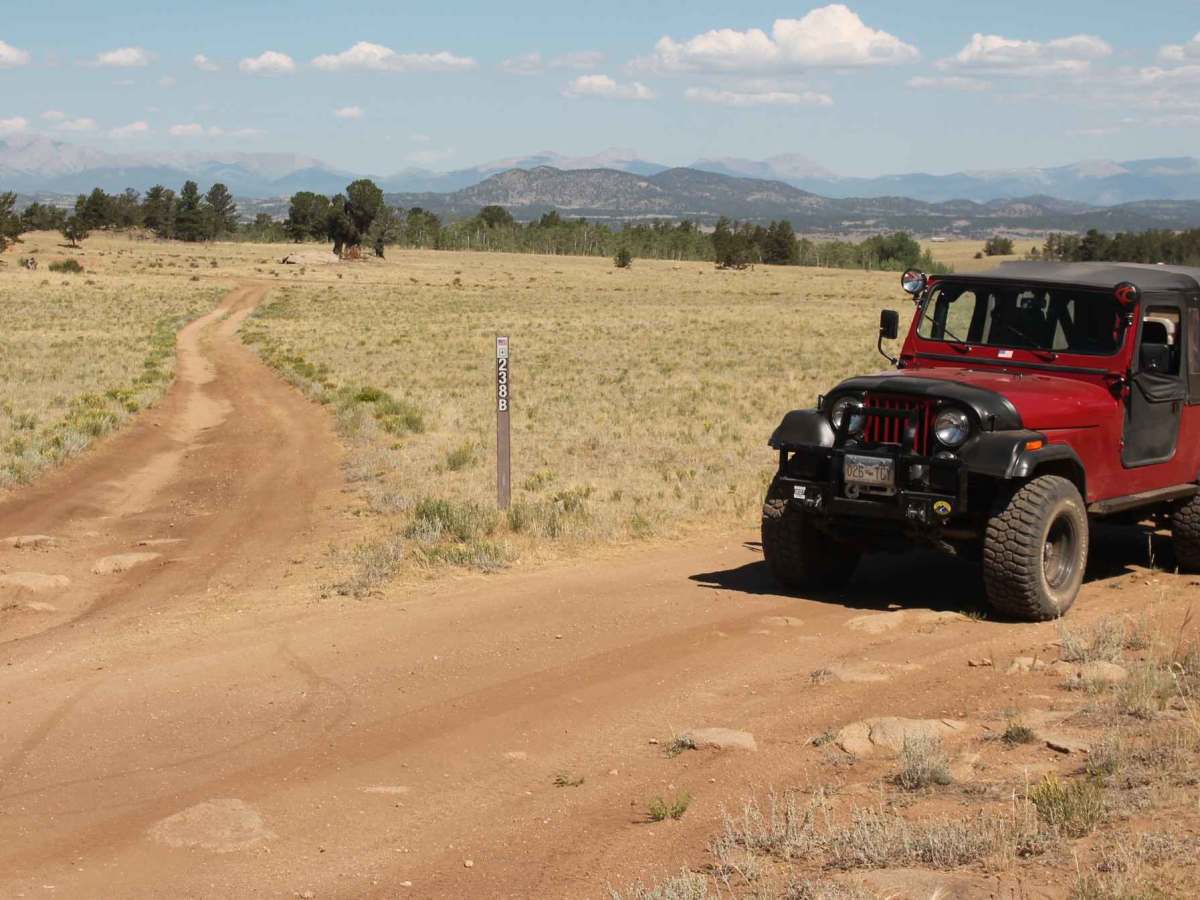 Steele trail photo
