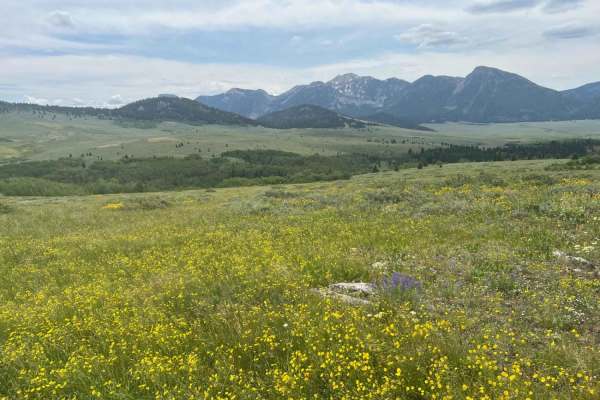 Lone Tree Pass-Deer Mountain Road