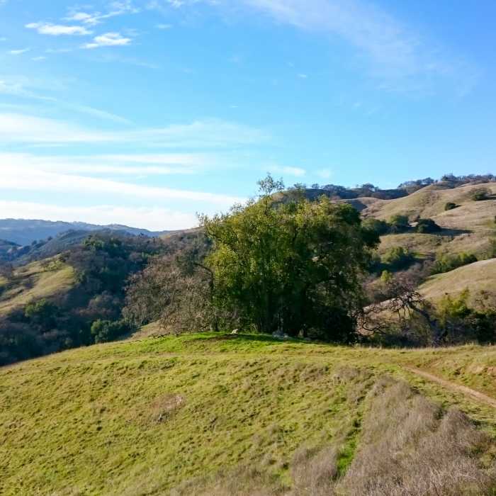 Green hillsides. Near Grizzly Gulch Trail