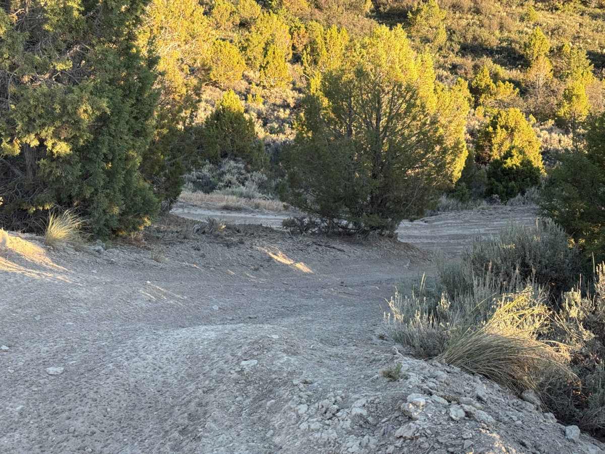 BLM 8410 photo 6