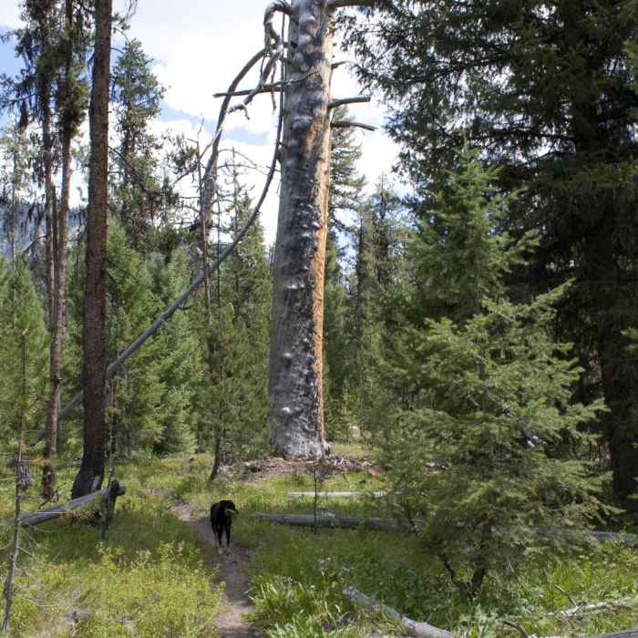 Near China Basin to Joe Daley Creek