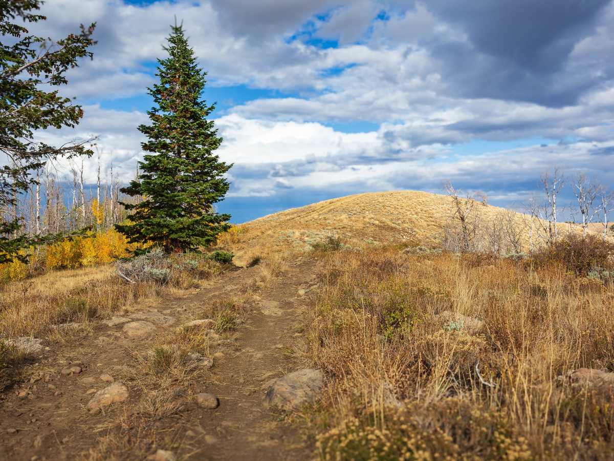 Twelve Hundred Dollar Road - FS 10200 photo 5