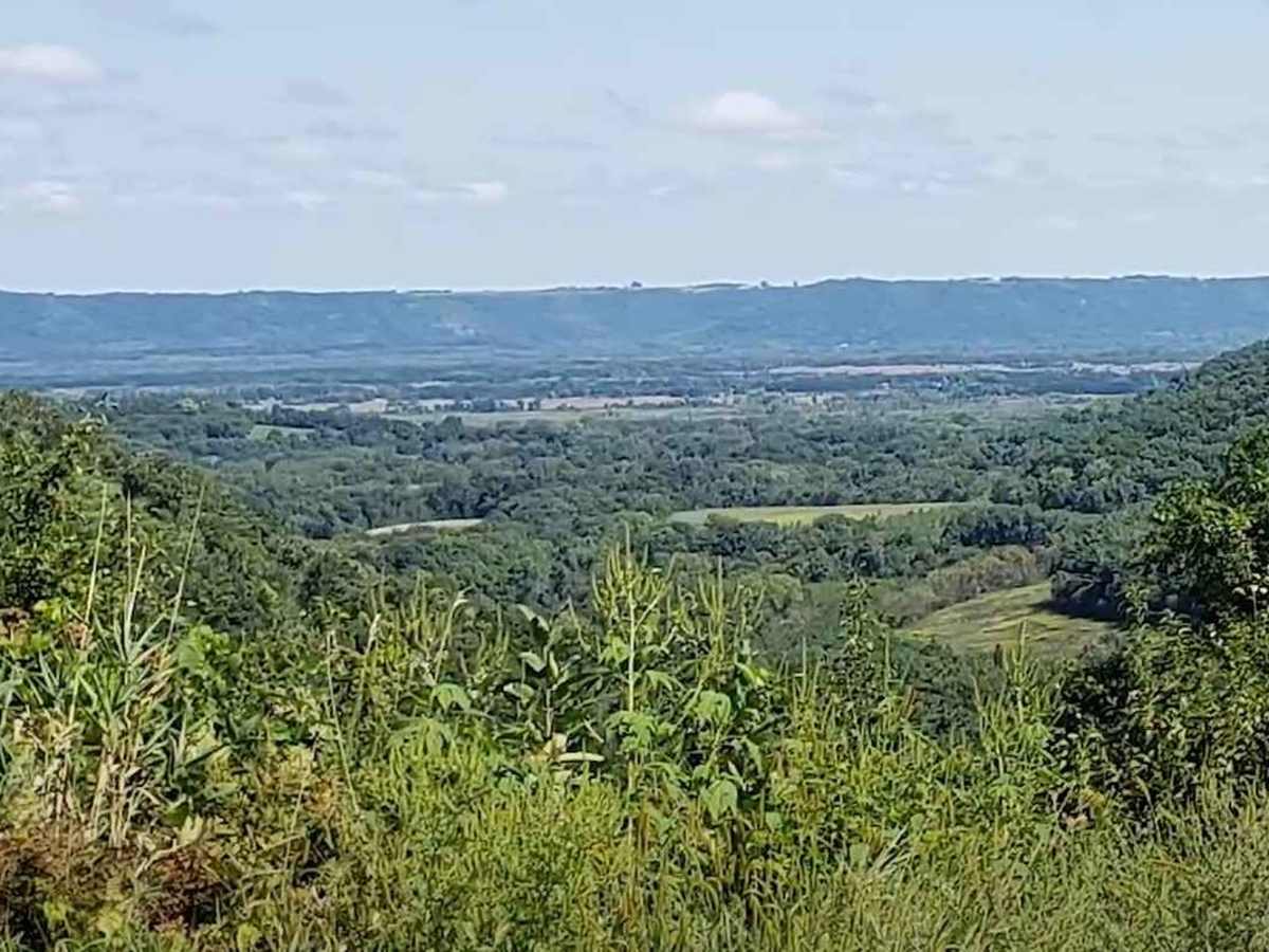 Snake Creek ATV Trails trail photo