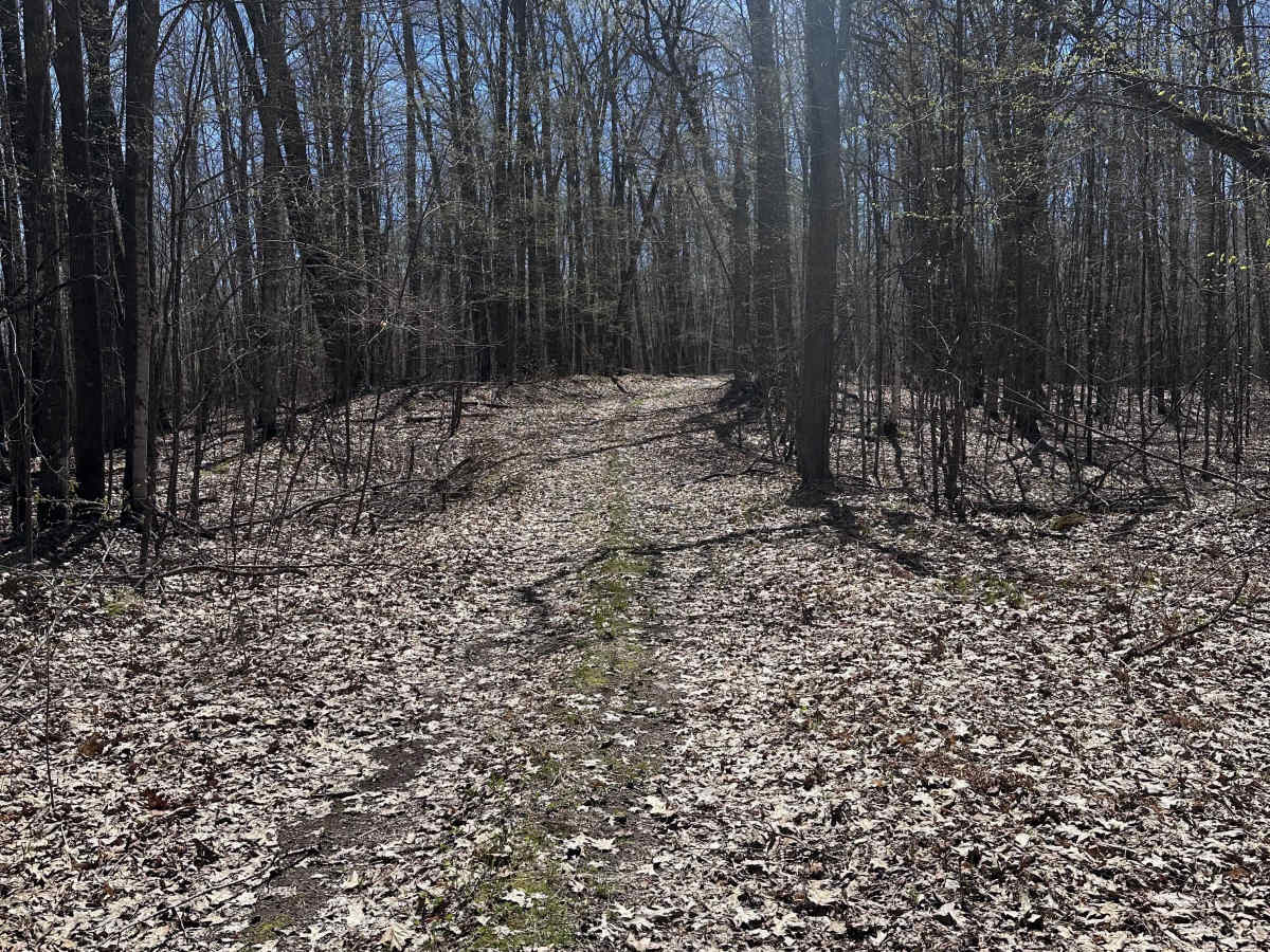 Hunter's Spur photo 2
