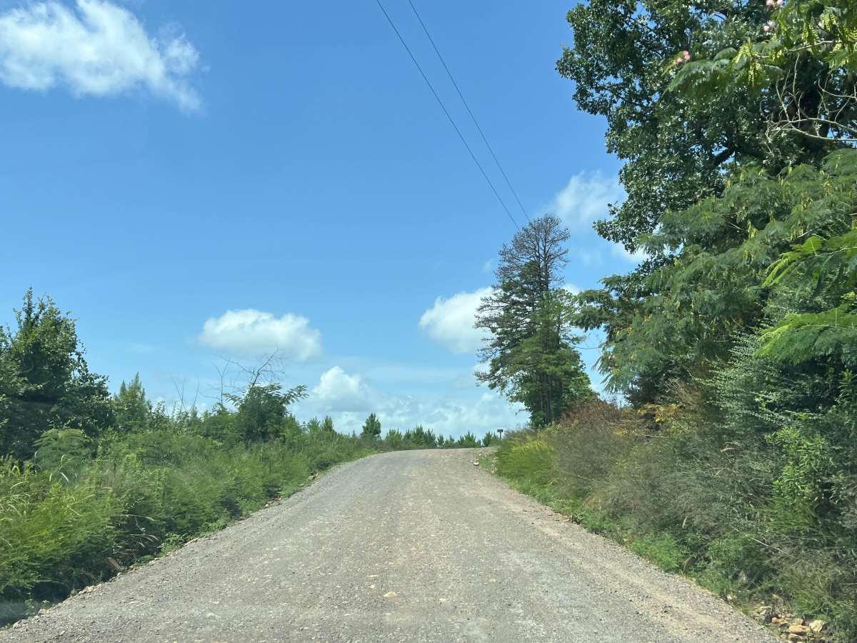 LeFlore County 260 photo 5