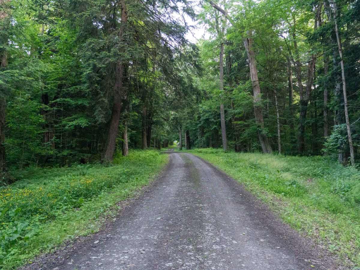 Truck Trail 5 photo 2
