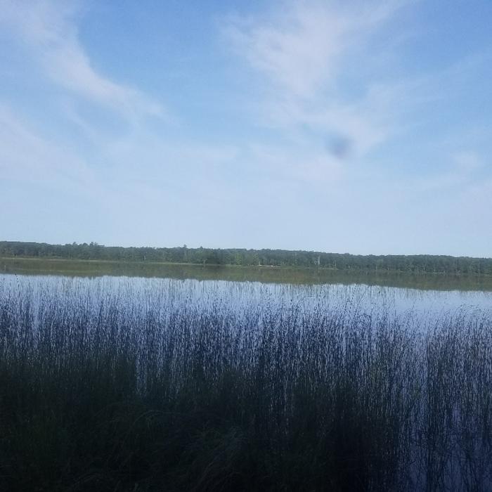 Marl Lake Near Marl Lake Trail System