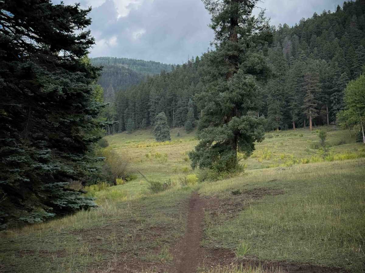 La Cueva Canyon Trail - FS 492  photo 5