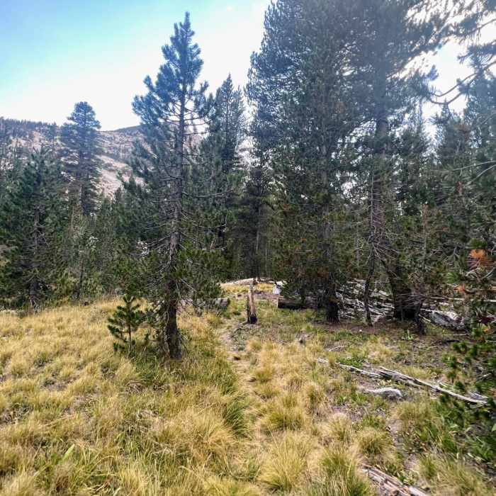 Near Second Recess Loop