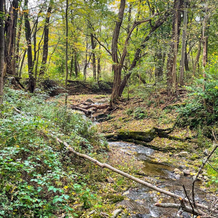 Near Hoosick River Greenway