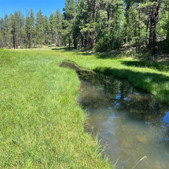 Near Springs Trail Near Springs Trail