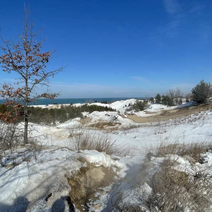 Overlooking Lake Michigan from atop the Dunes Succession Trail. Near West Beach 3-Loop