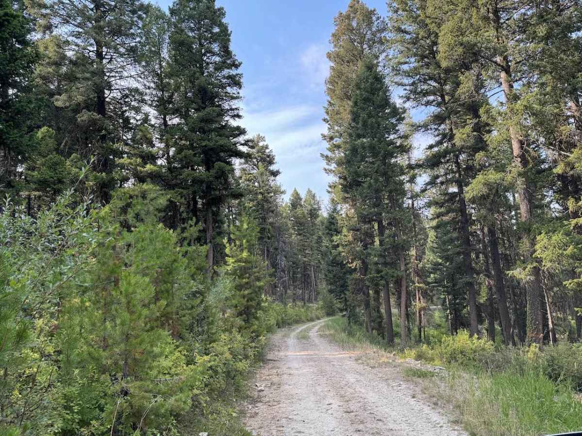 Gold Creek trail photo