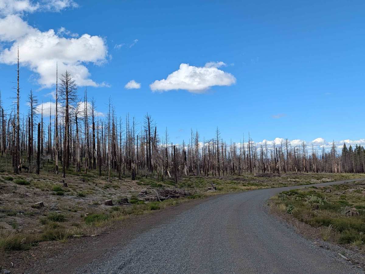Medicine Lake Road - FS 44N75 photo 4
