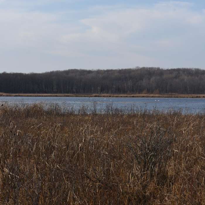Near Hiking Club Trail - Mille Lacs Kathio State Park
