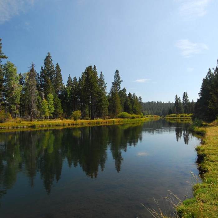 Near Deschutes River Trail, Upper Reach Hiking Trail