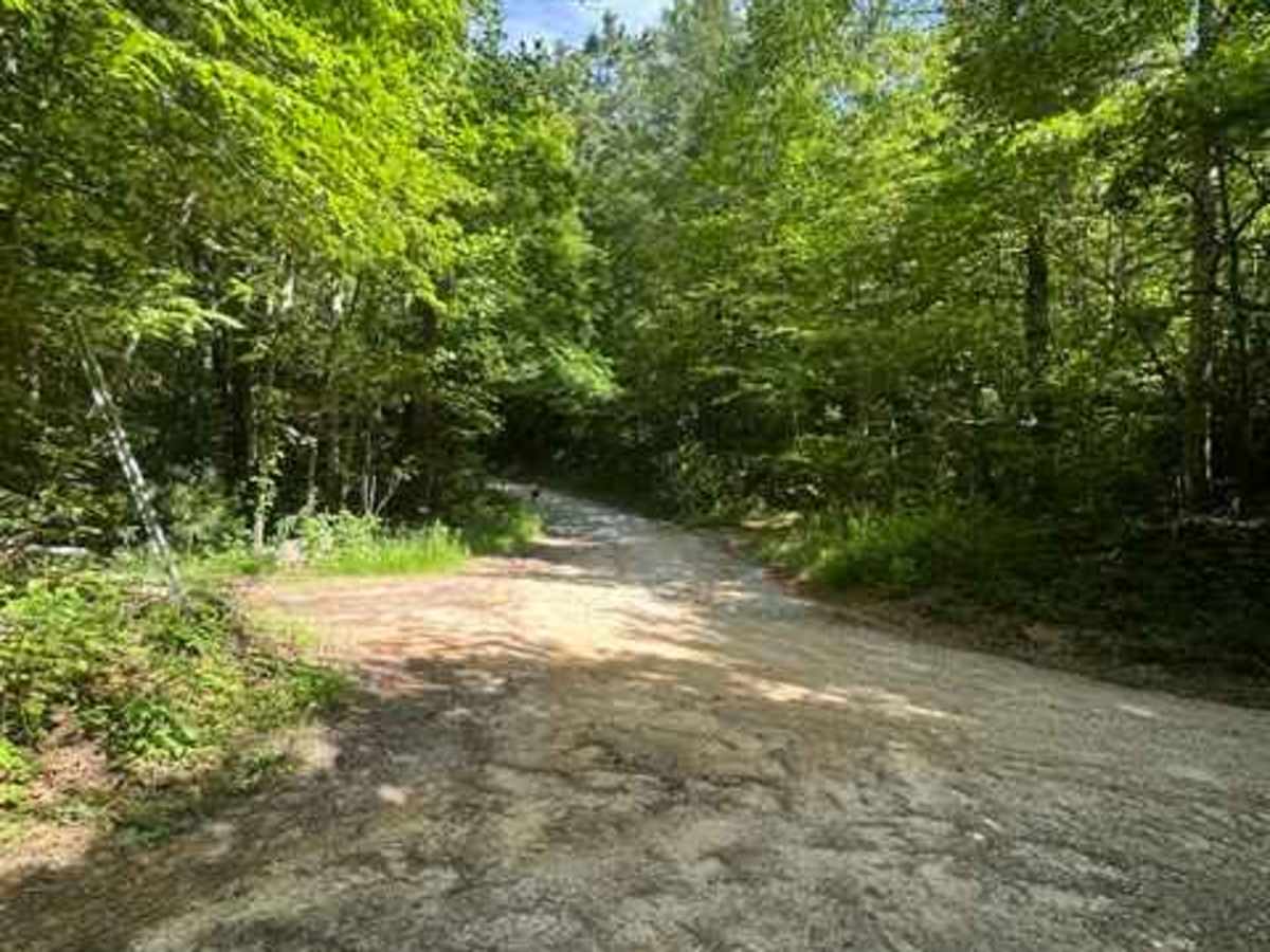 Big Creek Road - FS 4567 photo 3