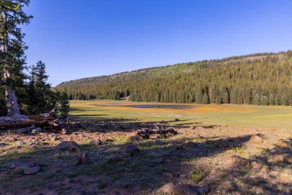 Deep Creek Lake Road