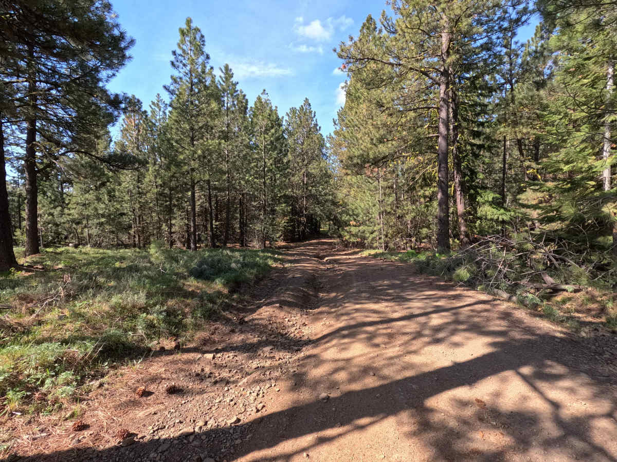 Brushy Road photo 6