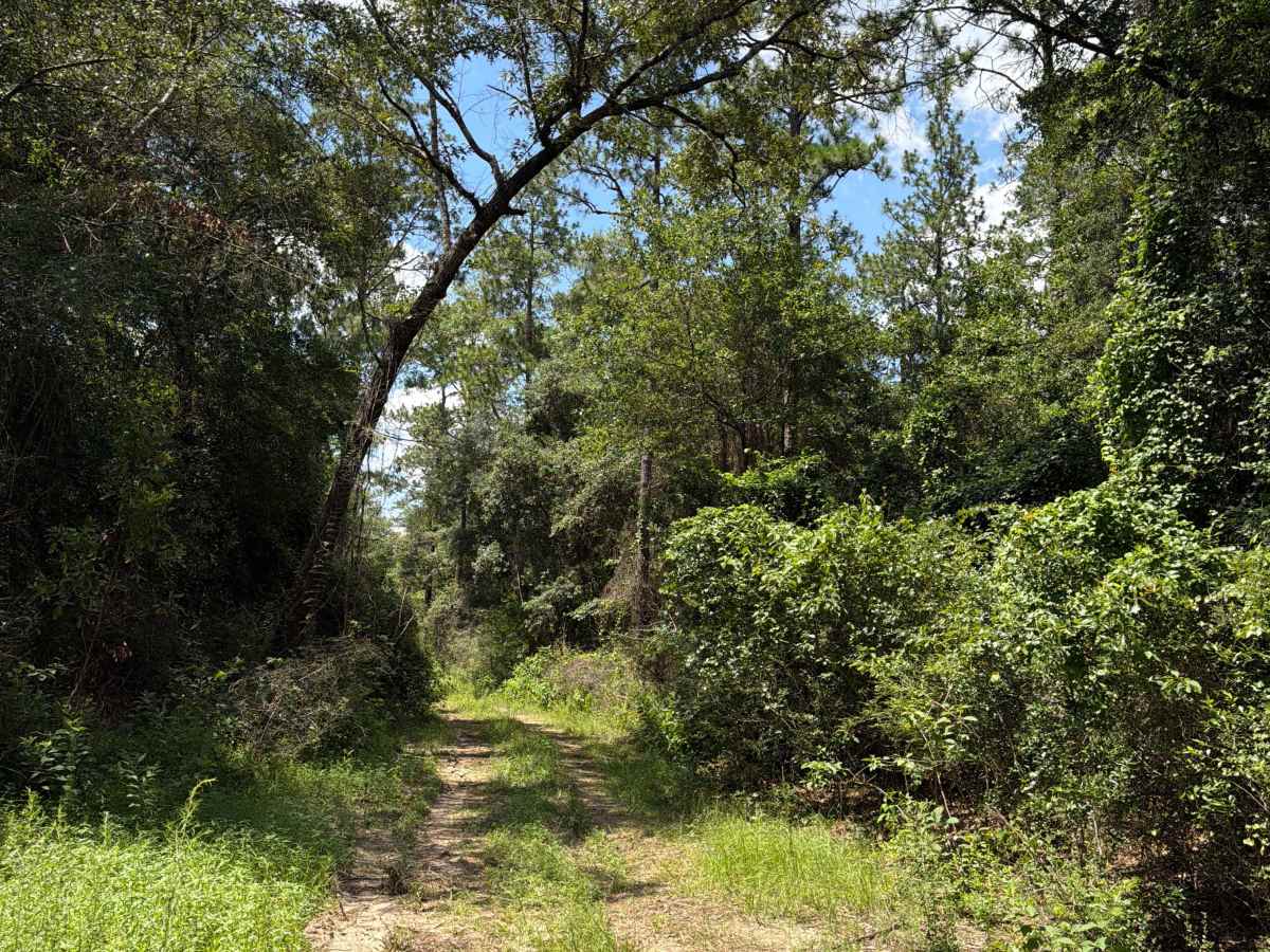 FS J4 trail photo