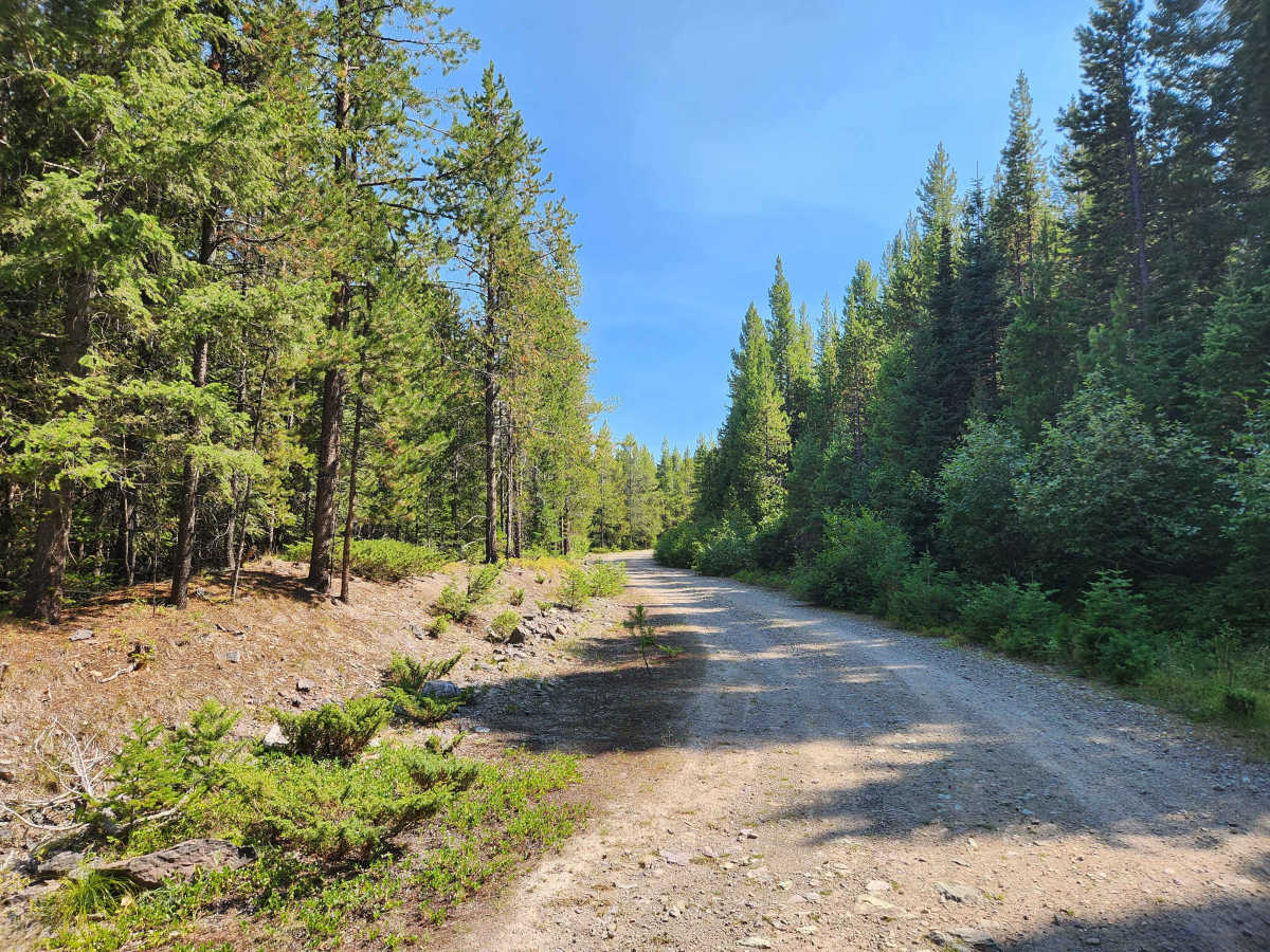 Emerine Trail photo 2