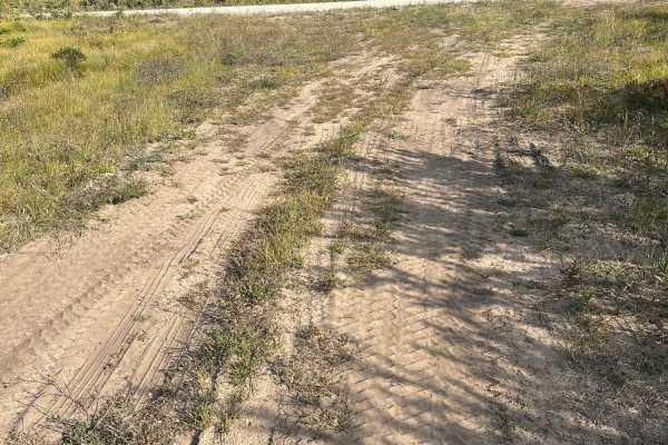 Otter Loop Around 