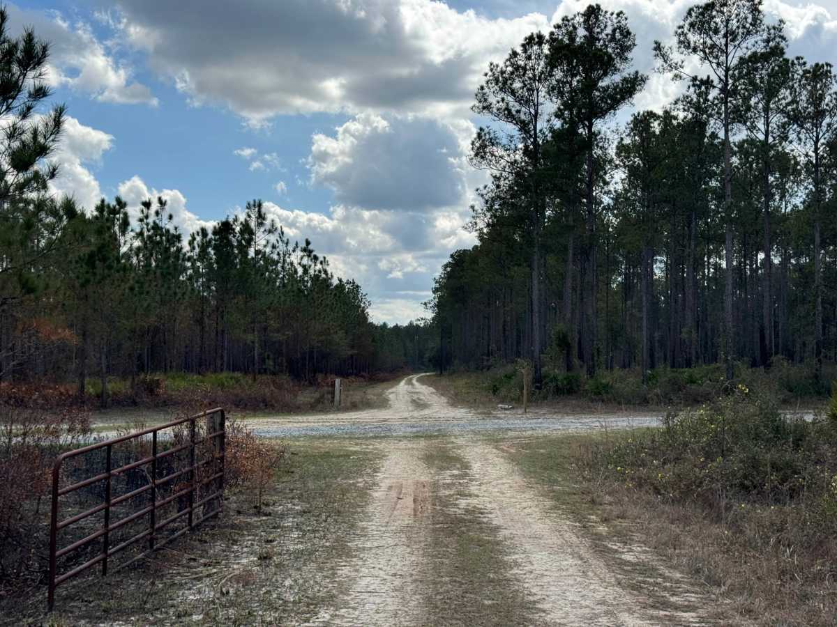 New Road trail photo