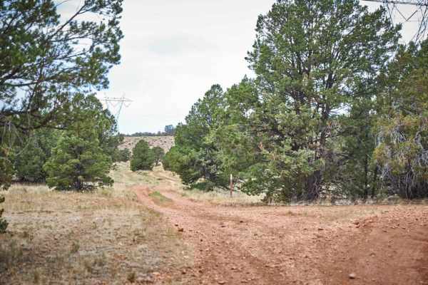776 / Powerline Road