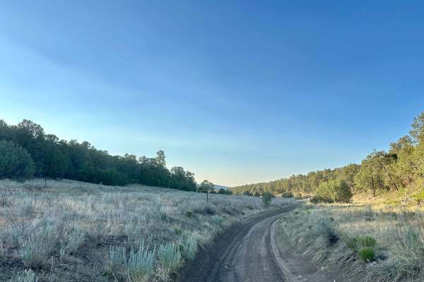 Meadow Ridge Alternate Pass