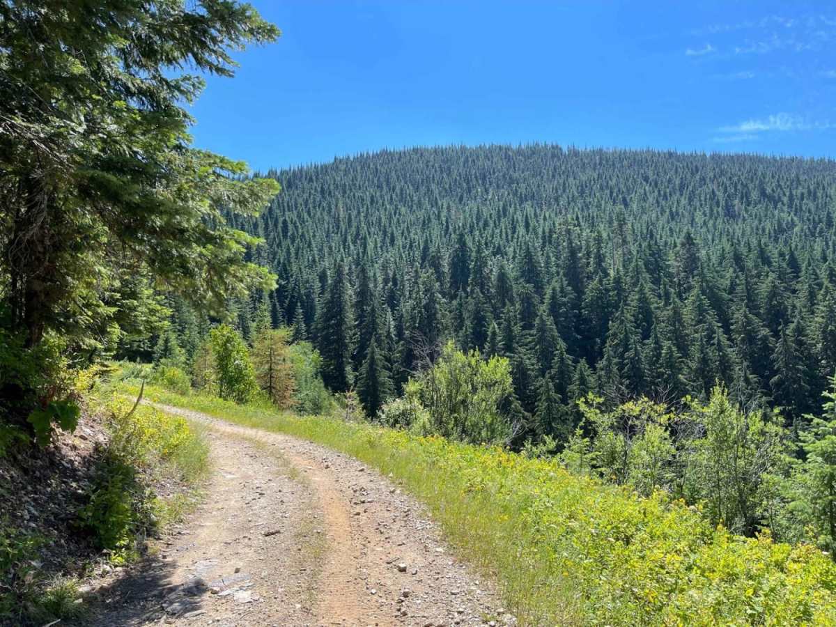 Deception Creek Circle trail photo