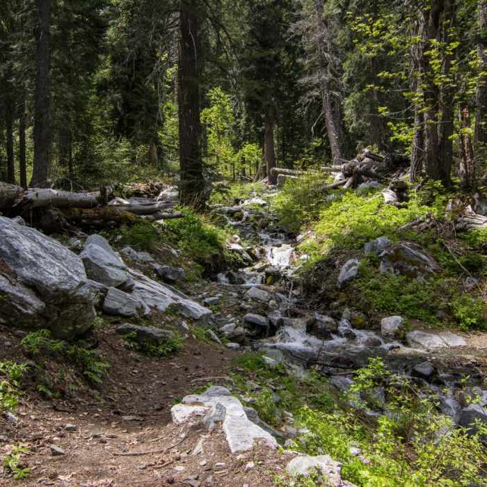 Near Sky High Lakes Basin