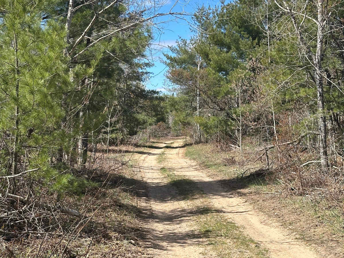 Hays Tower Loop photo 3