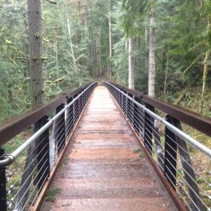 I love bridges! This one is a great one, you can also have a picnic underneath near the water if you want! Near Tiger Mountain Trail