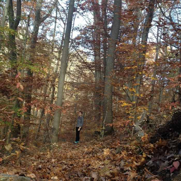 Near Greenwood/Scenic River Trail Classic