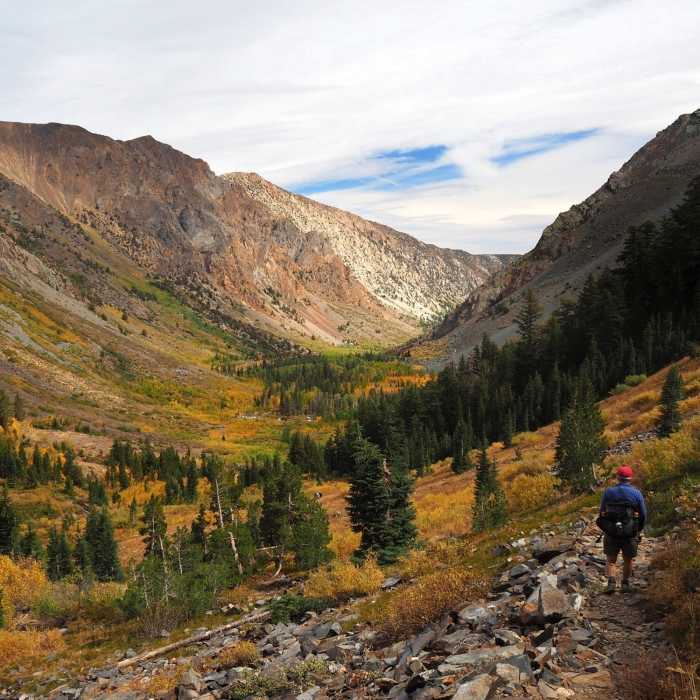 Near Lundy Canyon Trail #24E01