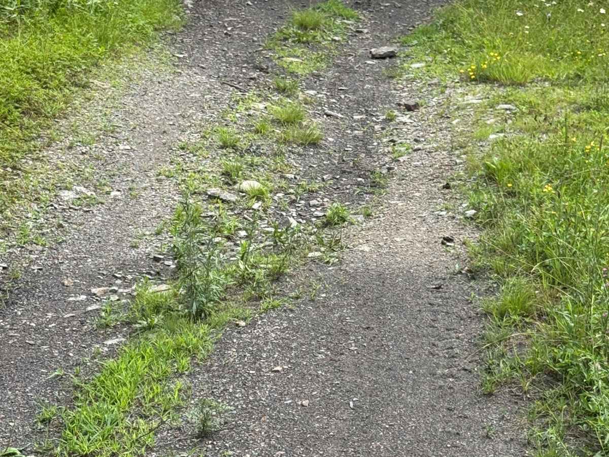 Trail 21 photo 4