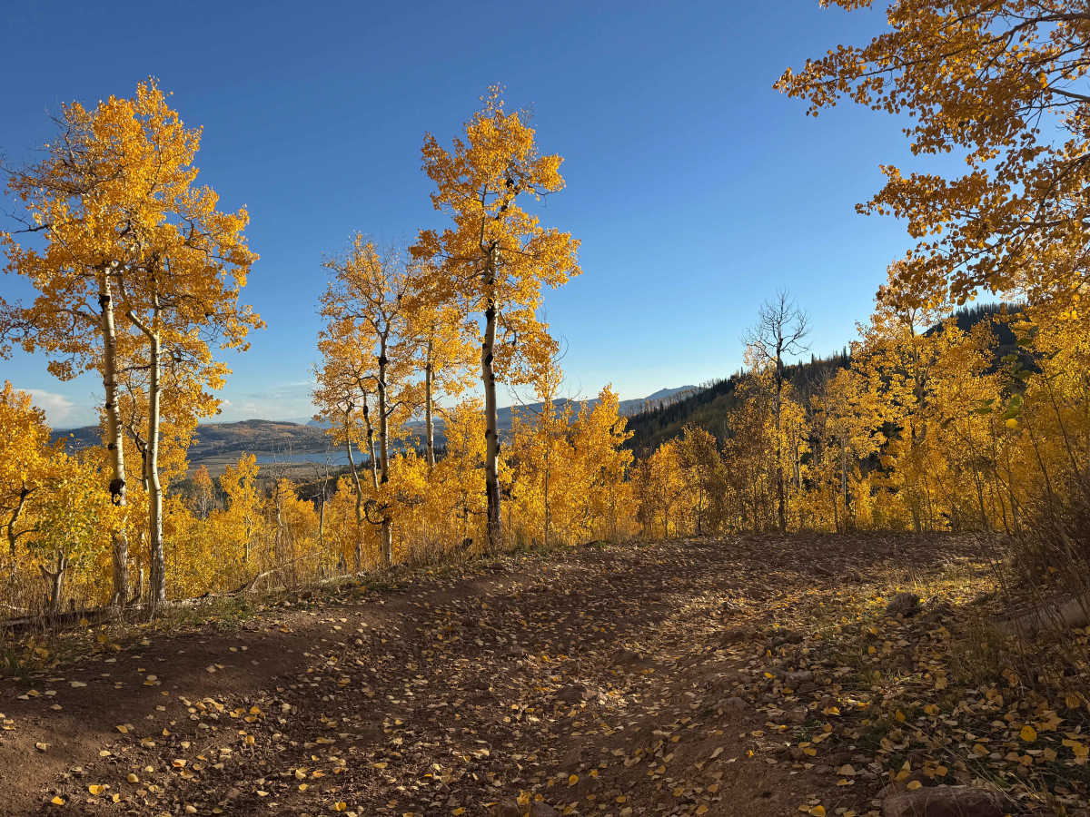 Deep Creek Road photo 3