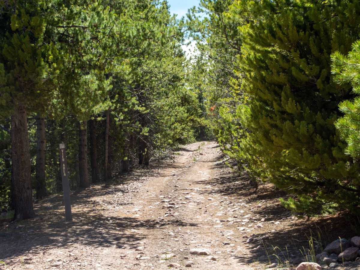 Johnson Meadow - FS 80207 photo 4