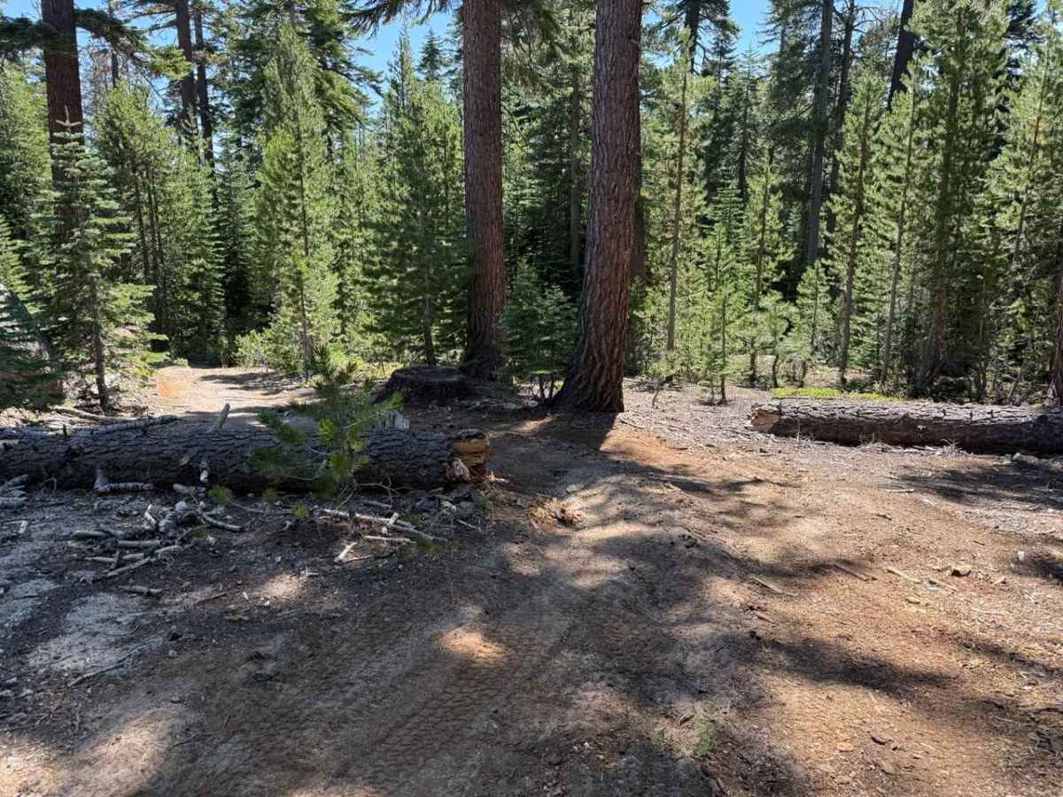 Burnside Spur - FS 31205A photo 4