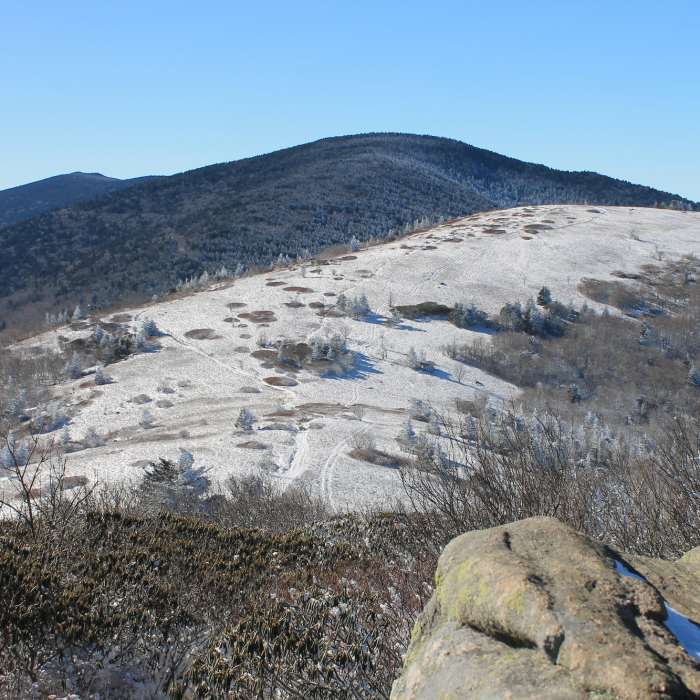 Near Grassy Ridge Bald Trail