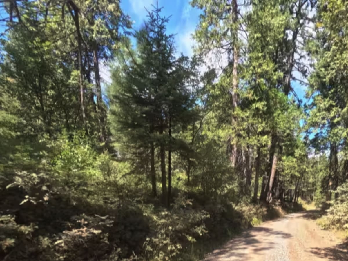 Miami Mountain Road - FS 6S014 photo 6