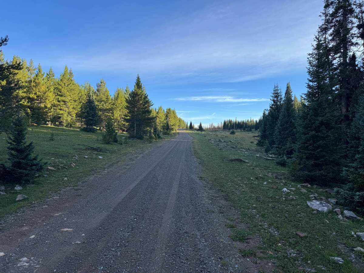 Taylor Creek Road photo 4